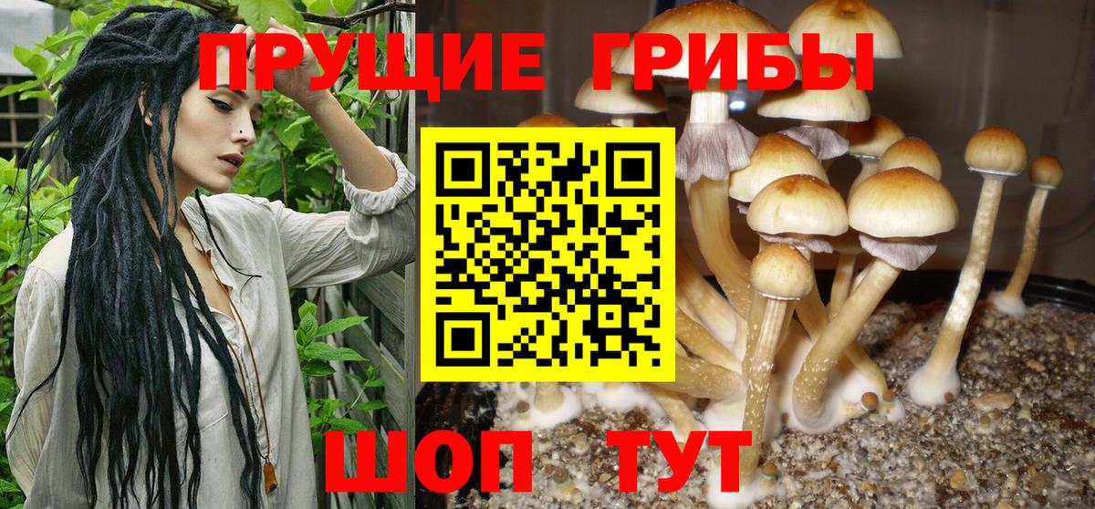 Ейск  Псилоцибиновые грибы Psilocybine cubensis  Вход с VPN  Псилоцибиновые грибы ЛСД 